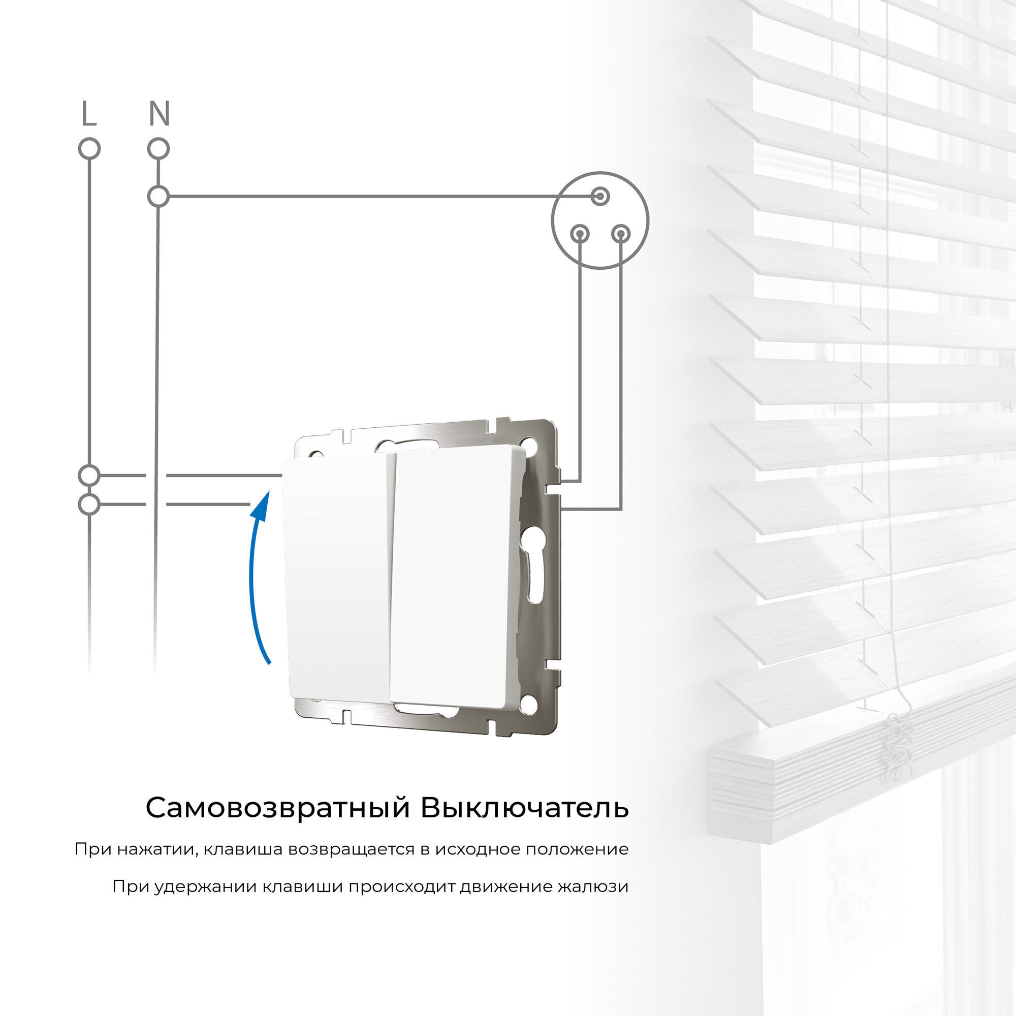 Выключатель двухклавишный с самовозвратом (белый матовый) W1122461 - Слайд 2