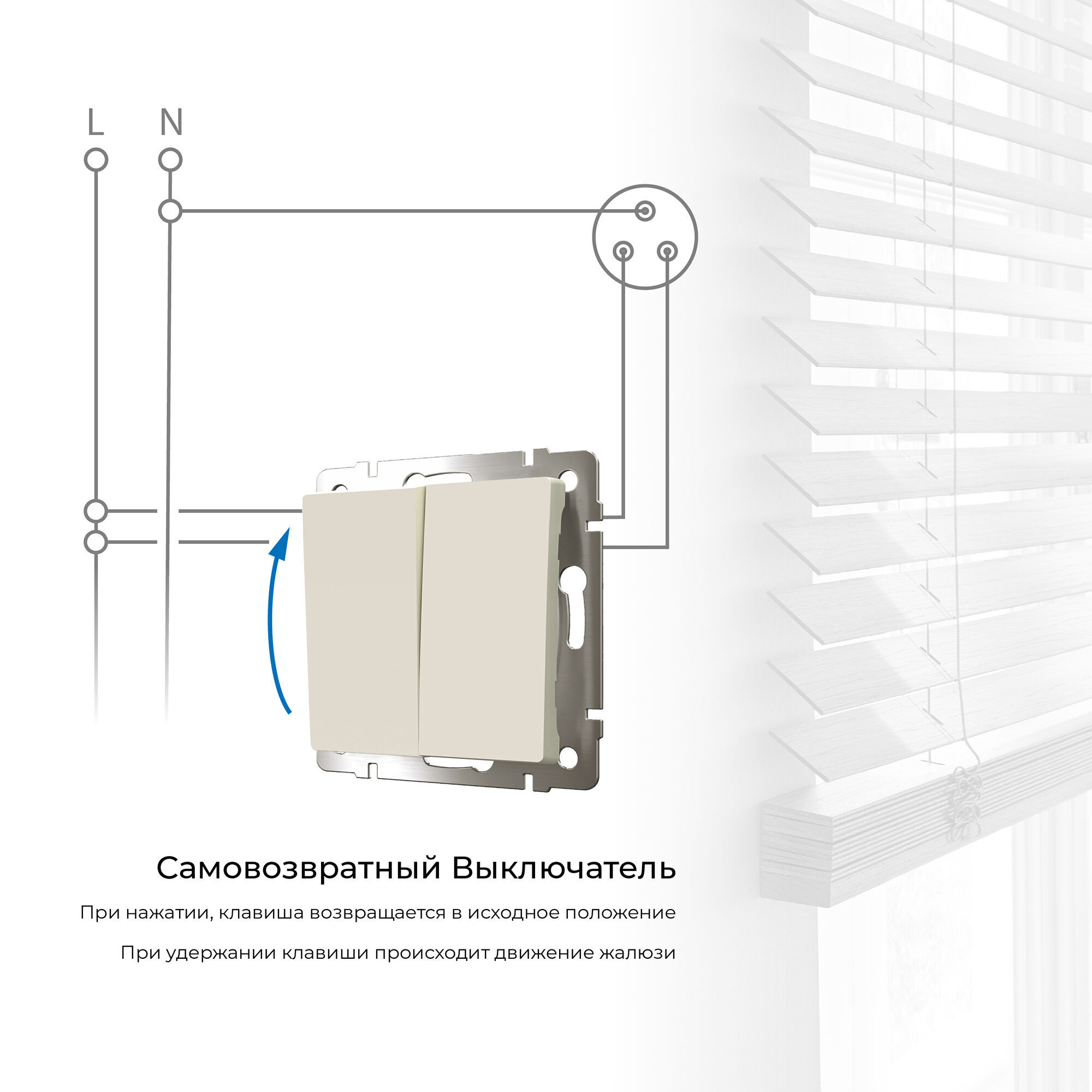 Выключатель двухклавишный с самовозвратом (слоновая кость) W1122403 - Слайд 2