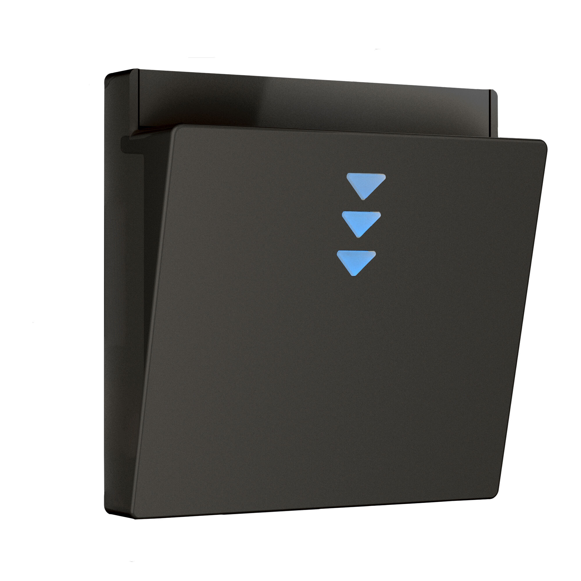 Накладка для электронного карточного выключателя (черный матовый) W1163108 - Слайд 1